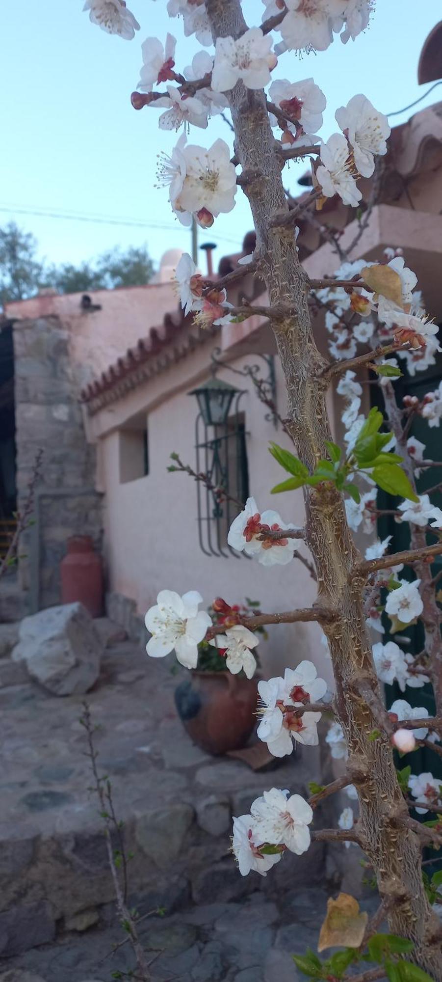 Los Arcabuceros Tilcara Exterior foto
