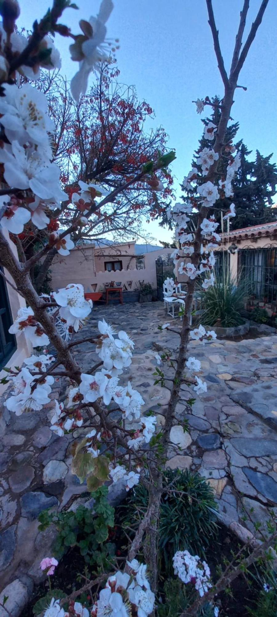 Los Arcabuceros Tilcara Exterior foto